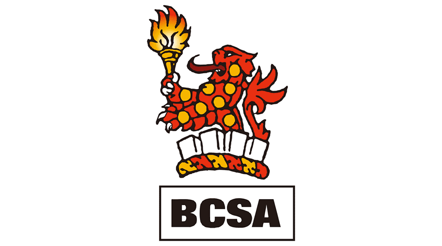 IDEA StatiCa - BSCA Logo